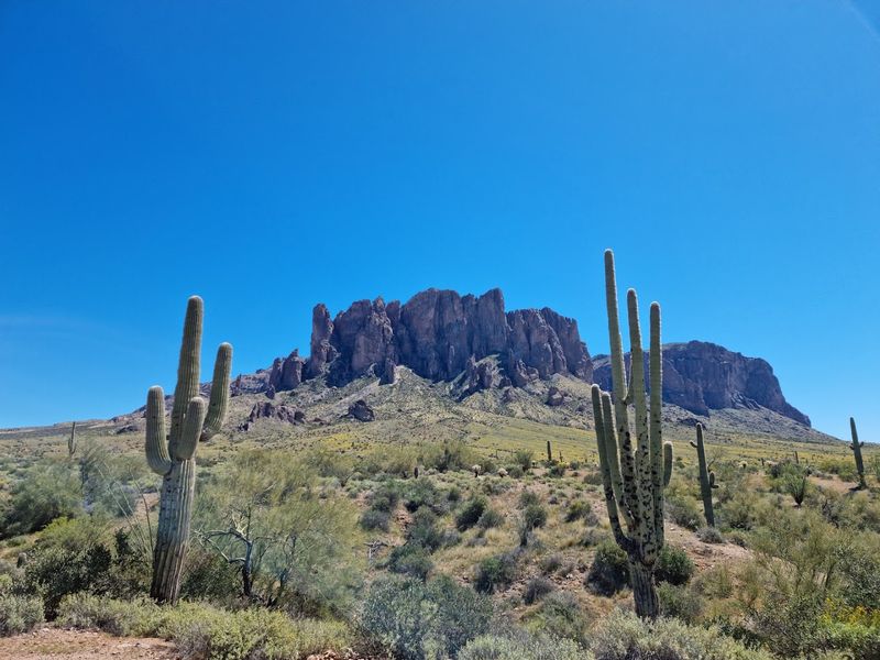 Lost Dutchman State Park Campground, Apache Junction
