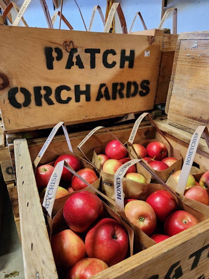 Patch Orchards Patch Orchards