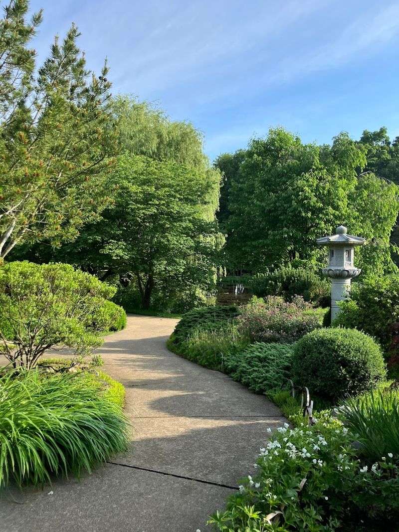 Paths Made For Wandering