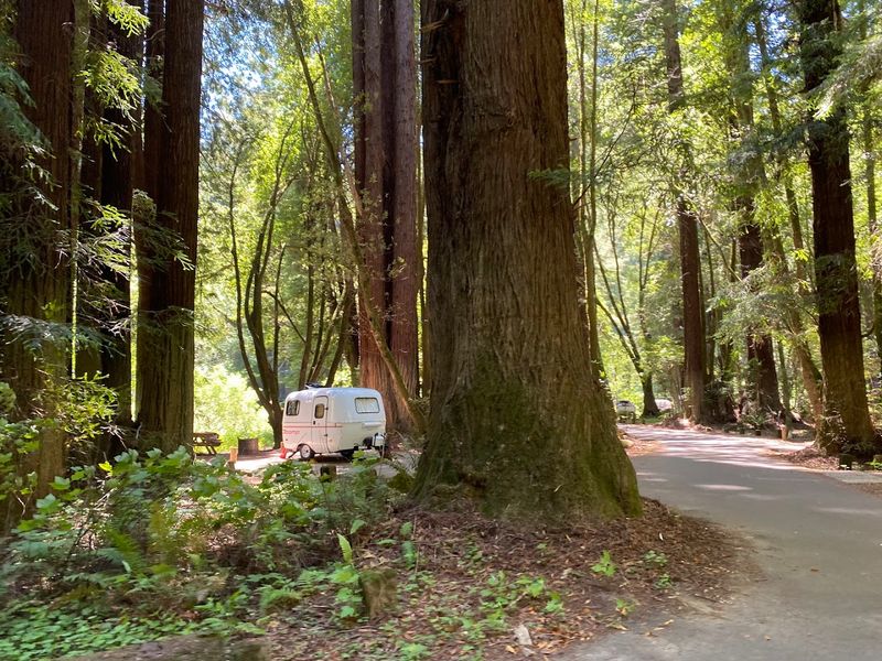 Paul M. Dimmick Campground Paul M. Dimmick Campground