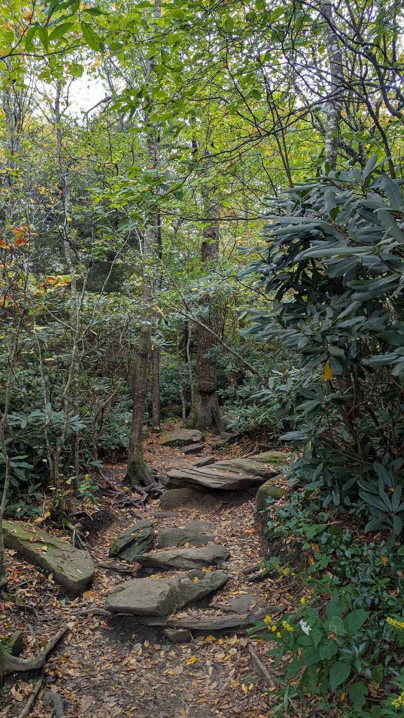 Stop For Perspective At Beacon Heights