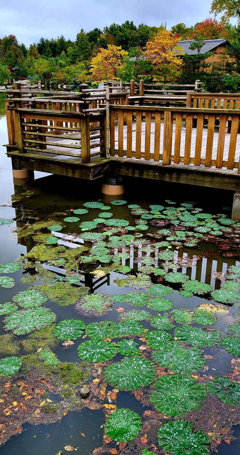 Seek The Quiet Benches And Boardwalks
