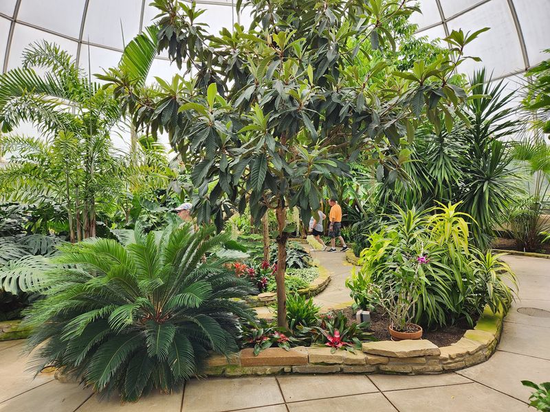 Pause Inside Elardo Garden Pause Inside Elardo Garden