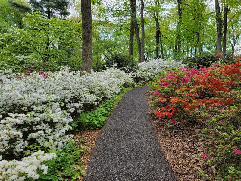 Paved Trails With Benches Along The Way
