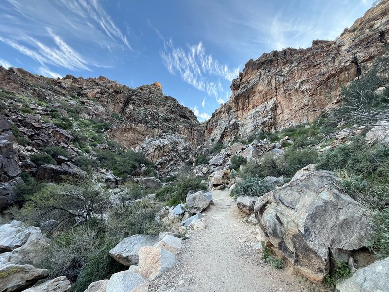 Pavement First, Then The Trail Gets A Little Wild Pavement First, Then The Trail Gets A Little Wild
