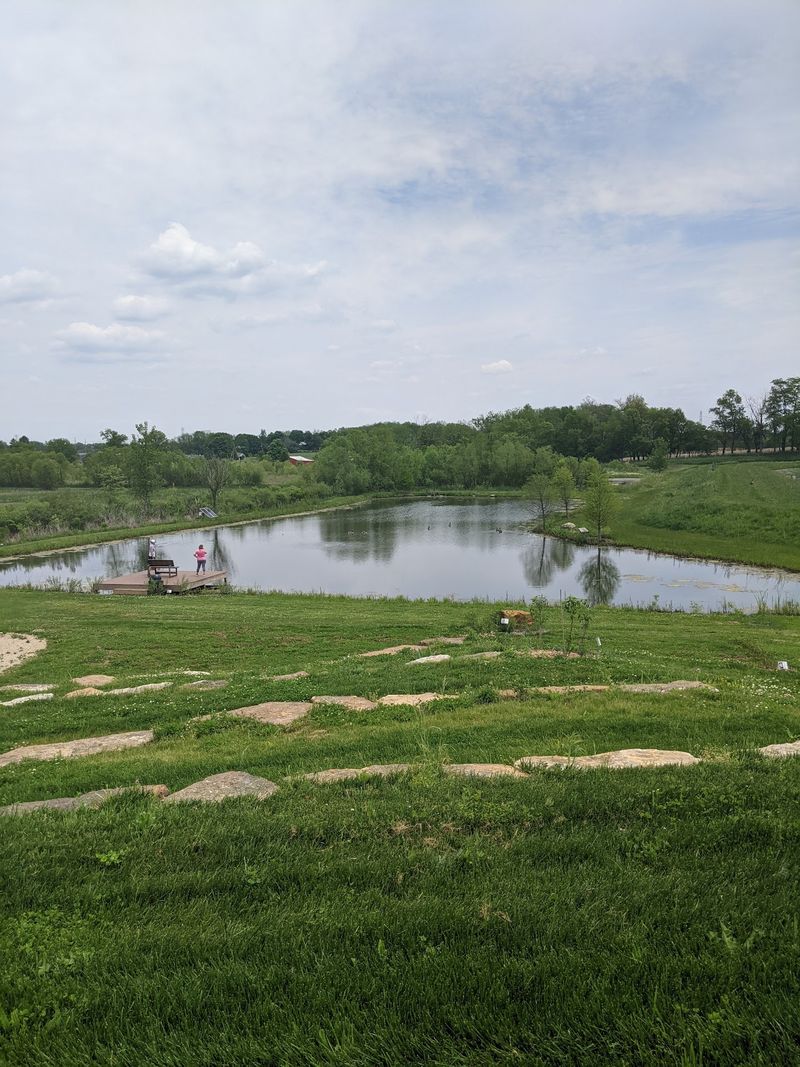 Pawpaw Palooza at Bowyer Farm, Mason
