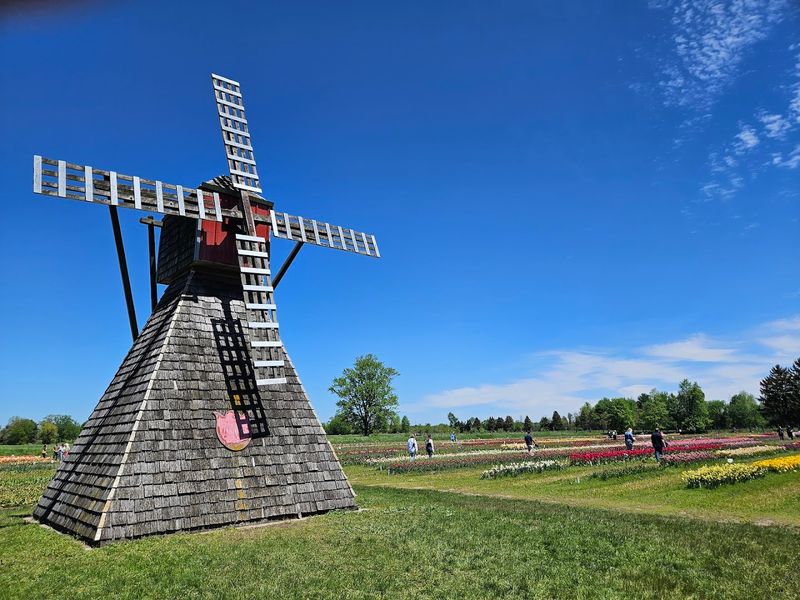 Pay Attention To The Dutch Staging, Even When It Feels Theatrical