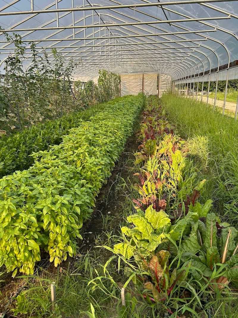 Pay Attention To The Farm's Certified Organic Identity
