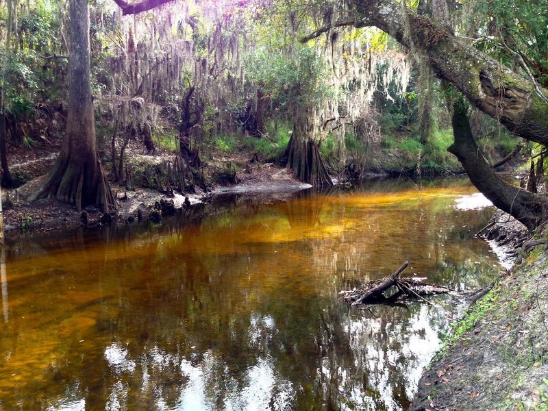 Paynes Creek Historic State Park Paynes Creek Historic State Park