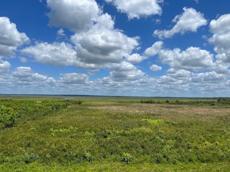 Paynes Prairie State Park Connection