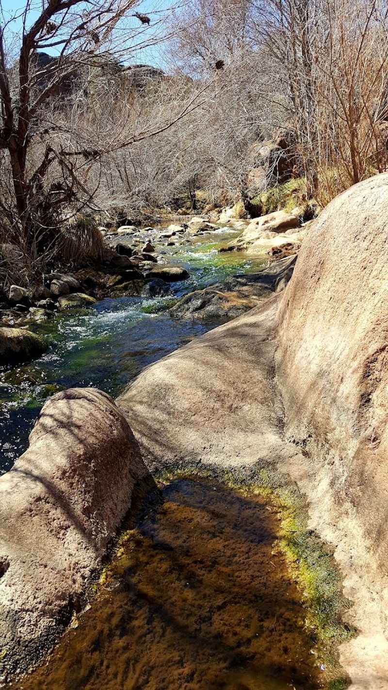 Payson, Arizona