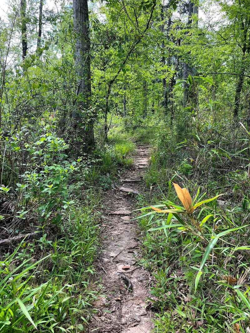 Peace, Quiet, And Zero Crowds