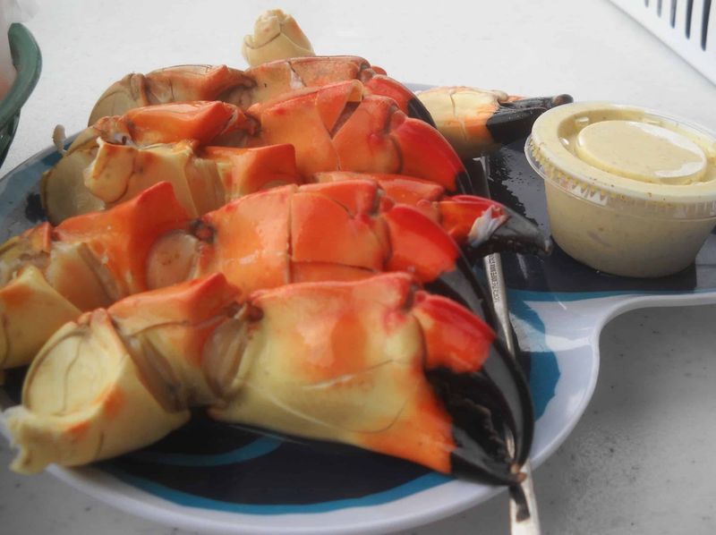 Triad Seafood: Everglades City's Stone Crab Sanctuary
