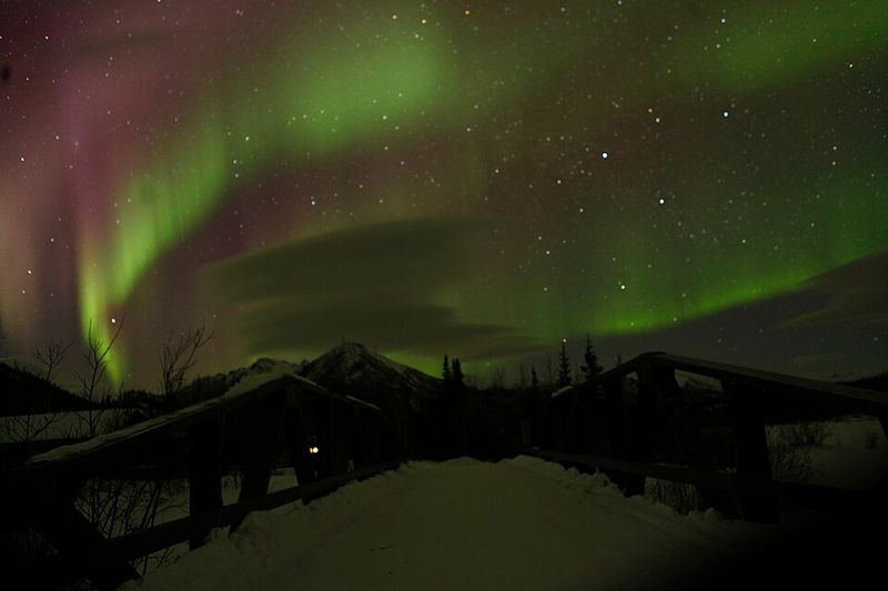 Peaceful Arctic Living That Sticks With You
