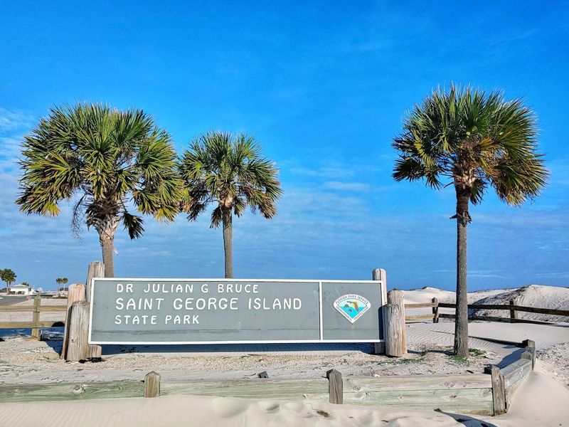 Scenic Coastal Dunes And Native Vegetation