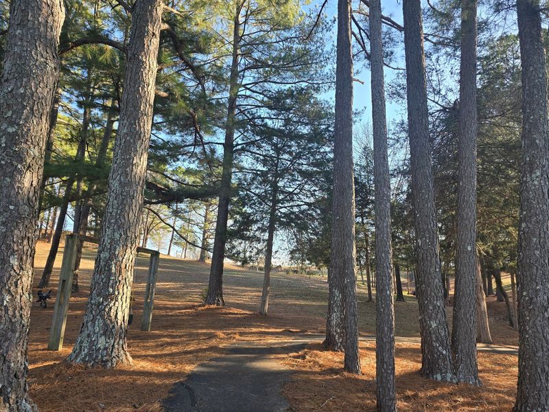 Peaceful Corners That Suit Retirement Life