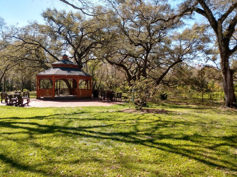 Peaceful Gazebo, Benches, And A Little Library