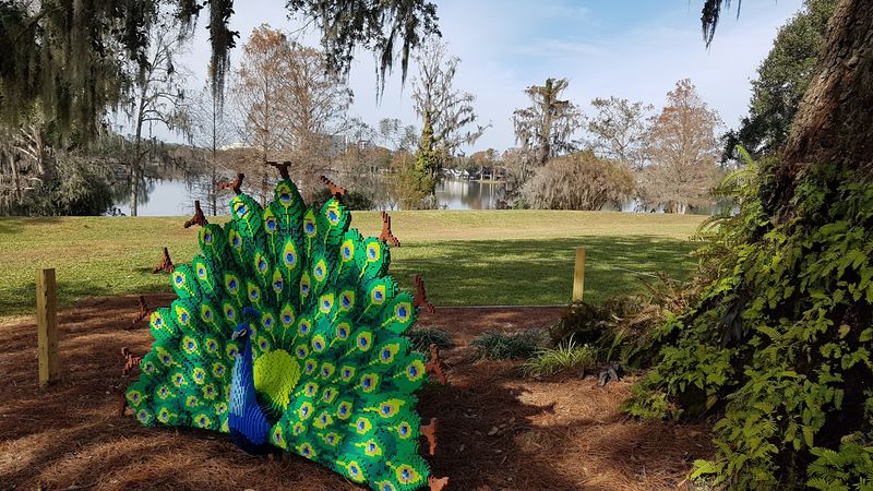 Year-Round Dazzling Nights Light Display