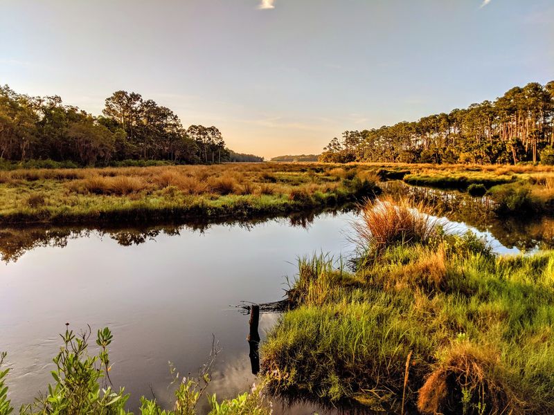 Peaceful Paddling On Bulow Creek