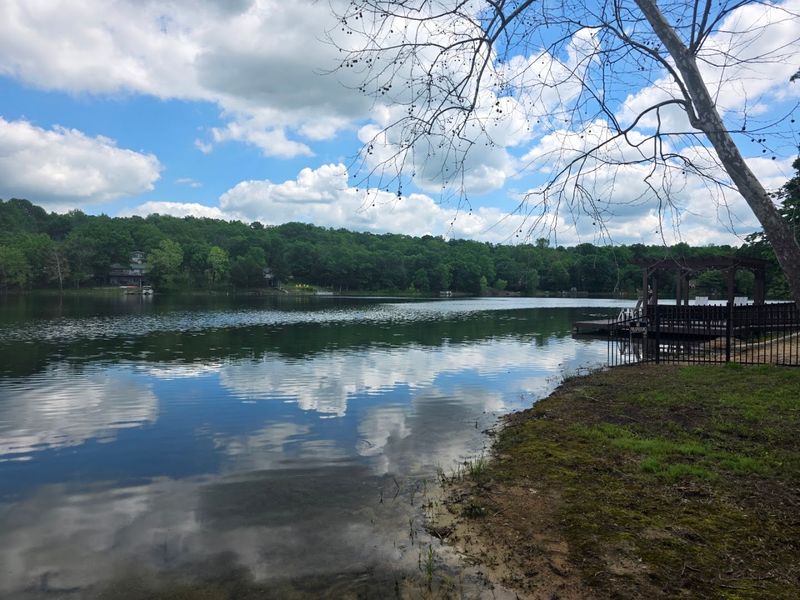 Peaceful Shorelines Set The Pace