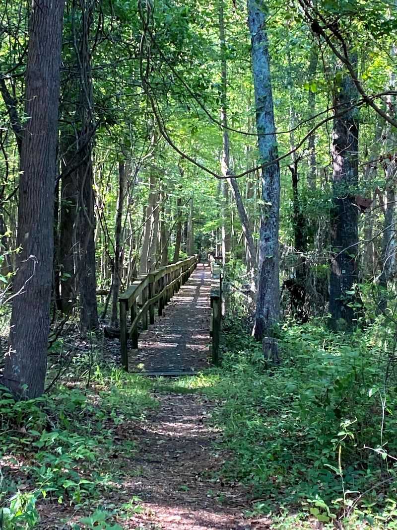 Peaceful Trails And Nature Walks