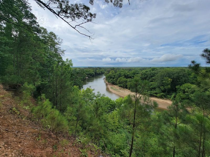 Peaceful Trails Beside The Ouachita River