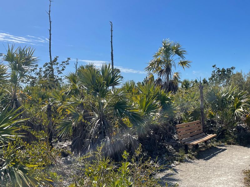 Peaceful Trails Made For Easy Wandering Peaceful Trails Made For Easy Wandering