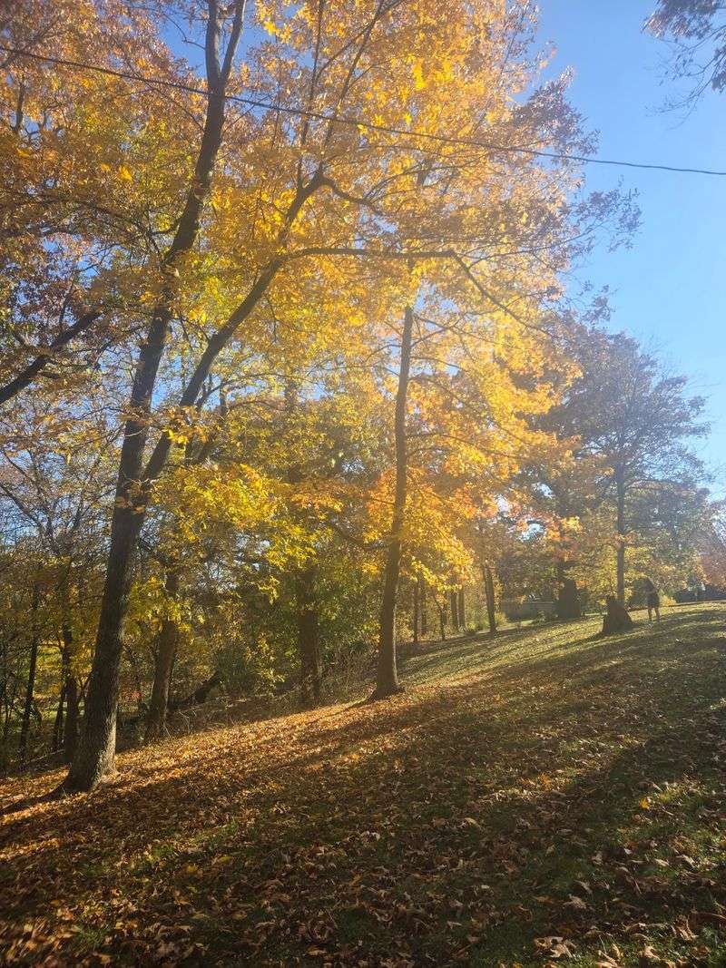 Peaceful Trails Near Downtown
