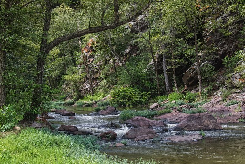 Peaceful Trails Near The Water