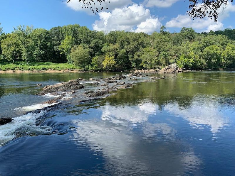Peaceful Views Along The Ouachita River
