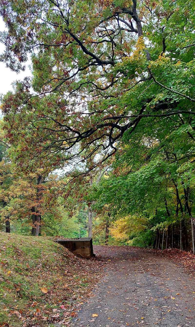 Peaceful Walking Paths And Quiet Moments Peaceful Walking Paths And Quiet Moments