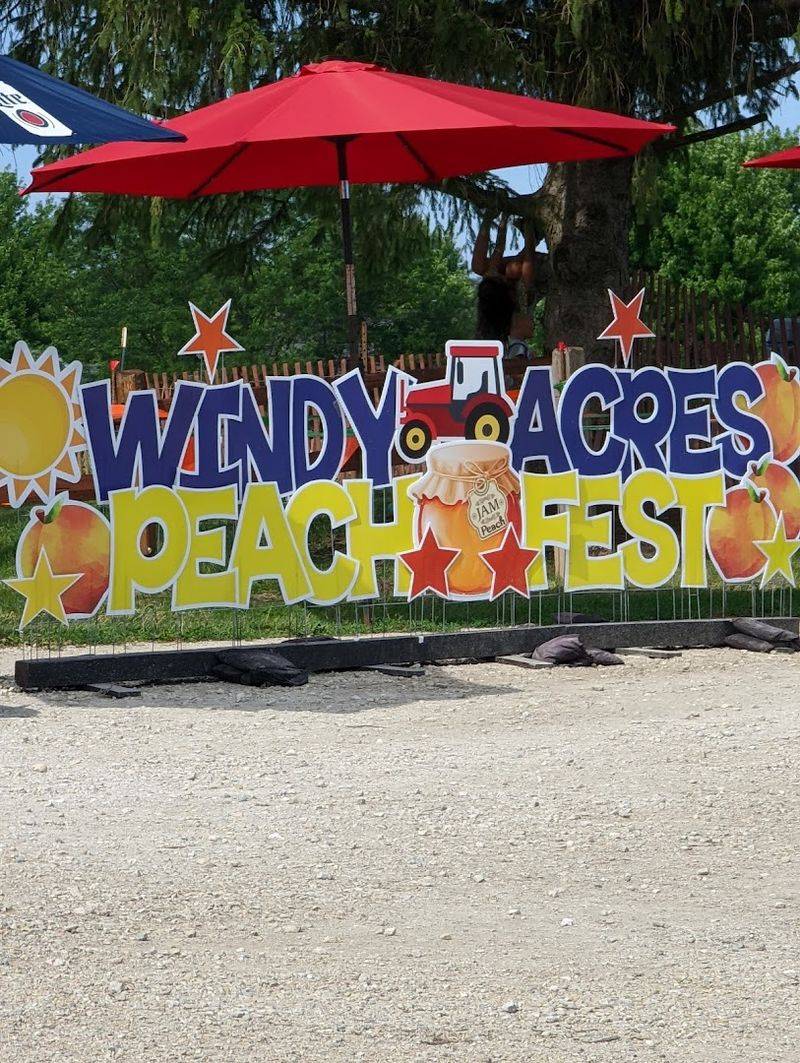 Peach Festival at Windy Acres Farm (Geneva, Illinois)