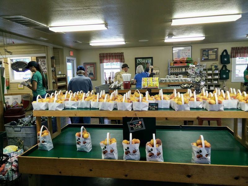 Peach Salsa, Hot Sauce, And Specialty Jarred Goods To Take Home Peach Salsa, Hot Sauce, And Specialty Jarred Goods To Take Home