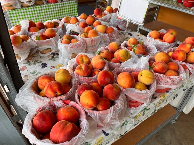 Peach Season Along A Country Road