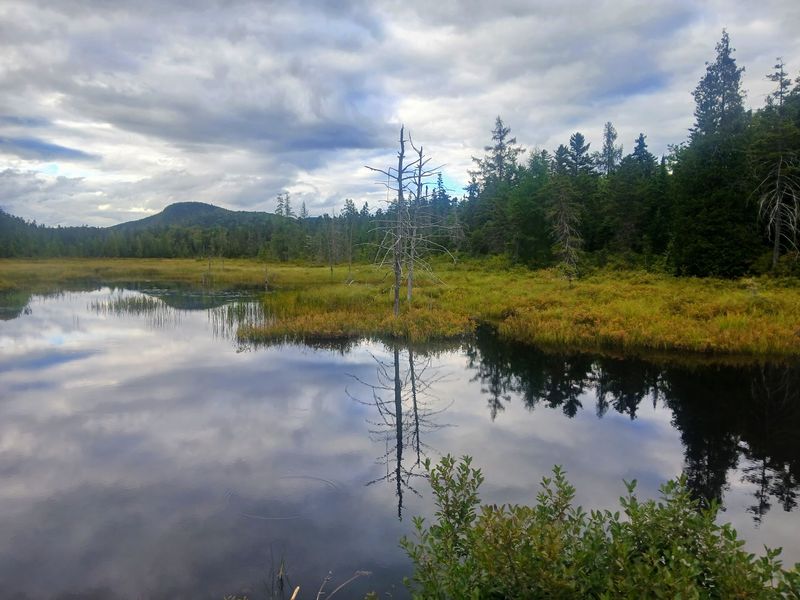 Peacham Bog And The Great Outdoors