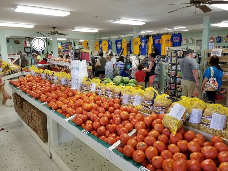 Peaches That Rewrite Your Expectations Peaches That Rewrite Your Expectations