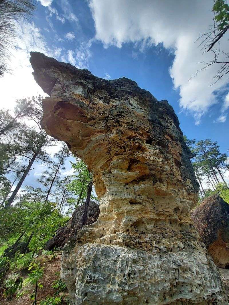 Peachtree Rock Heritage Preserve Trail, Lexington