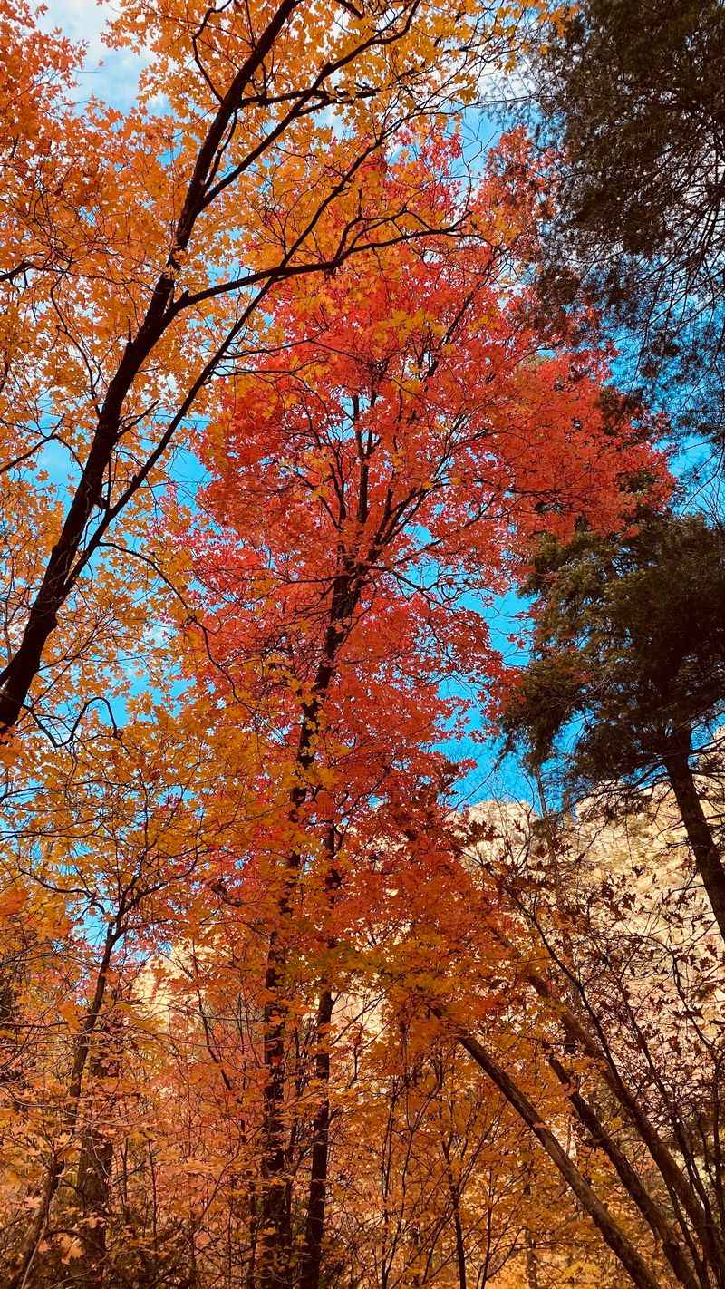 Peak Color Timing for Late October