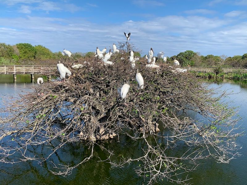 Continuous Water Flow Engineering Marvel