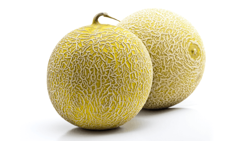 Cantaloupe: The Melon Menace