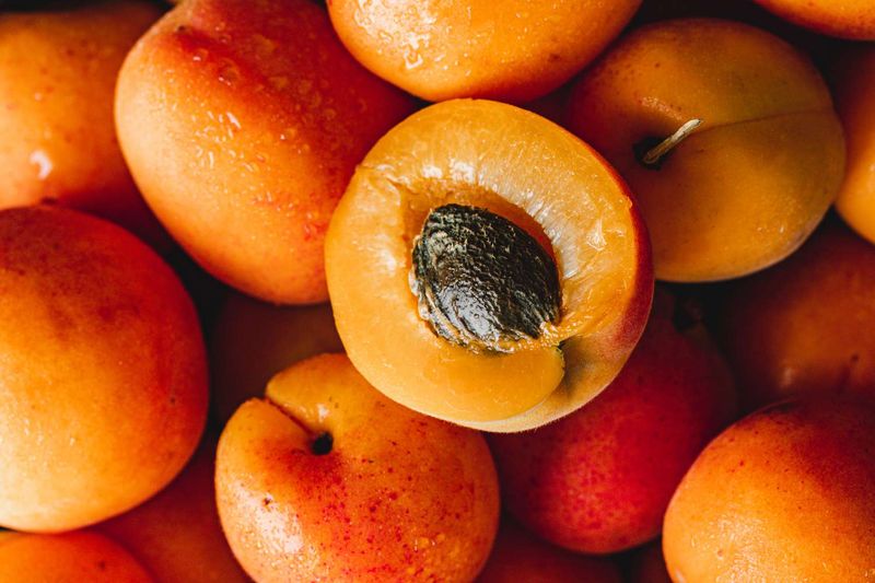 Apricot: The Golden Low-Glycemic Gem
