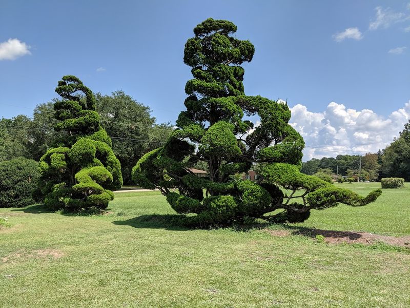 Pearl Fryar's Topiary Garden, Bishopville Pearl Fryar's Topiary Garden, Bishopville