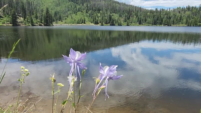 Pearl Lake State Park