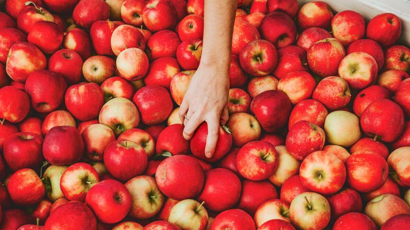 Apples: The Original Health Hack
