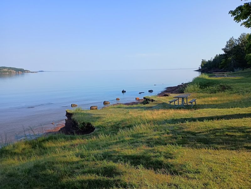 Picnics And The Bandshell