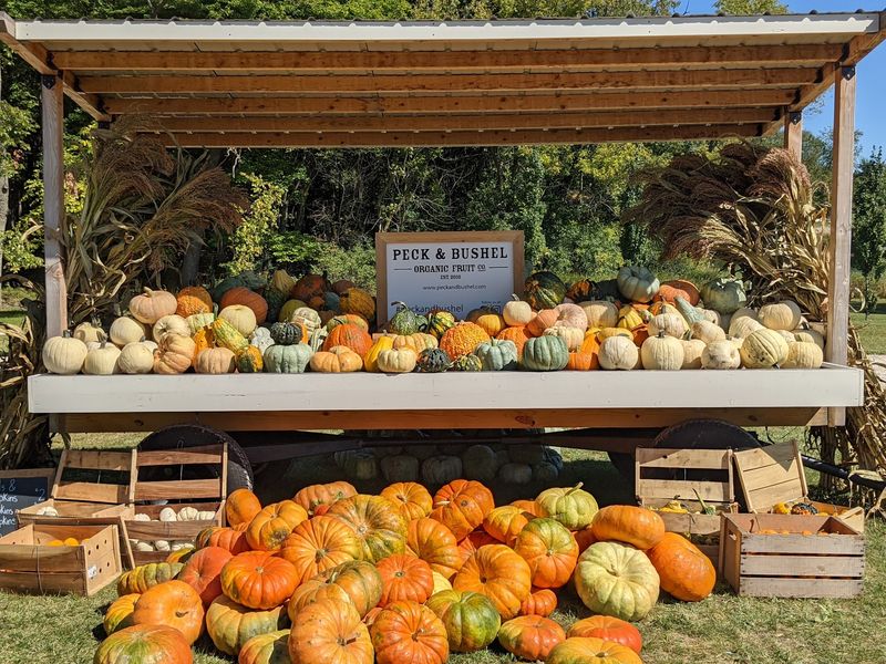 Peck And Bushel Fruit Company Peck And Bushel Fruit Company