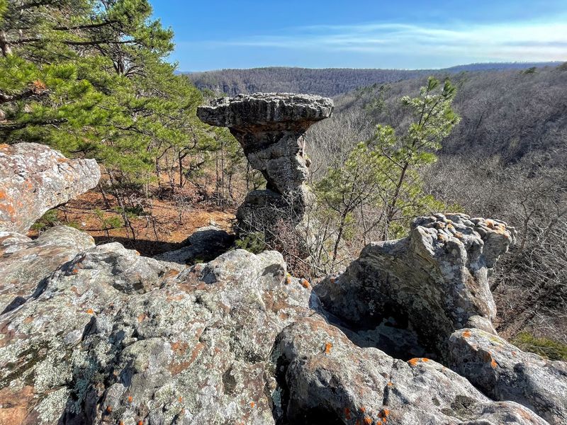 Pedestal Rock Scenic Area