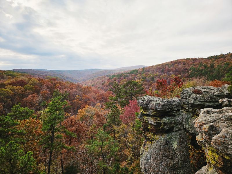 Pedestal Rocks & Kings Bluff Trailhead