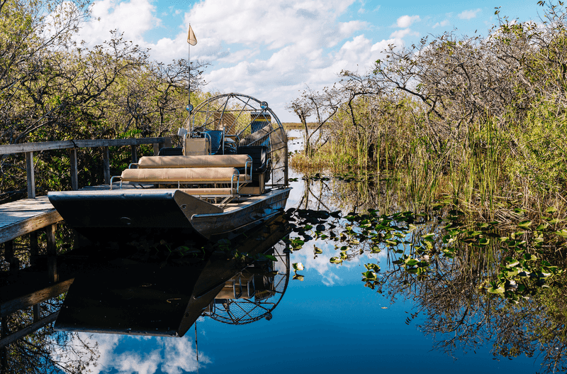 City Seafood: Everglades City's Waterfront Wonder
