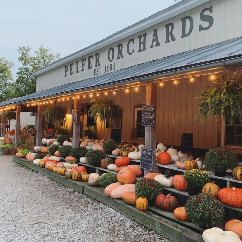 Peifer Orchards, Yellow Springs